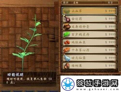 探索穹之扉的神秘世界