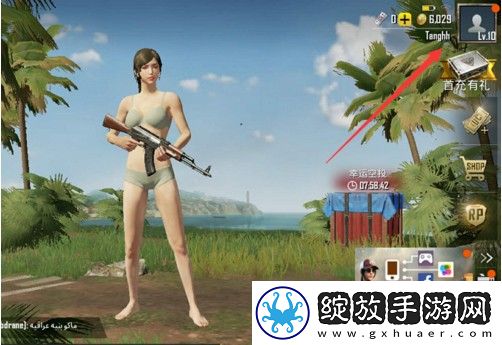 和平精英(国际服)