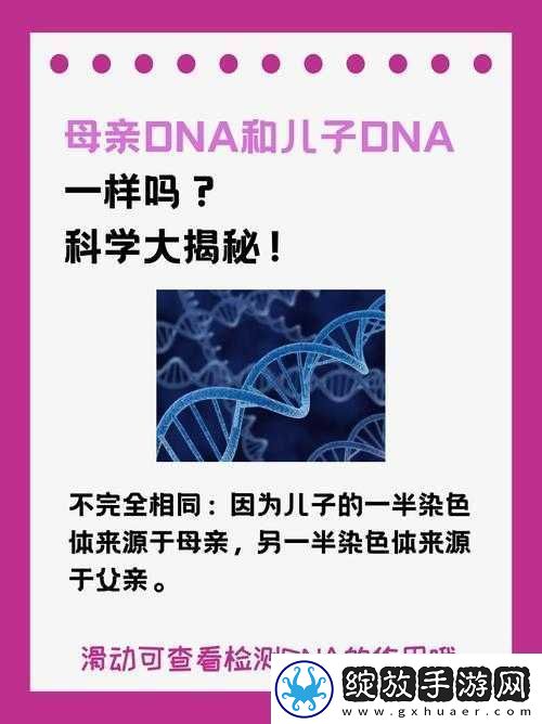 母亲