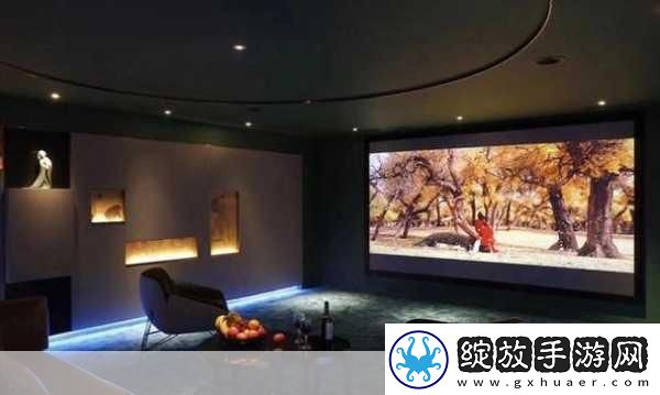成都私人家庭影院的推荐理由韩国-当然可以！