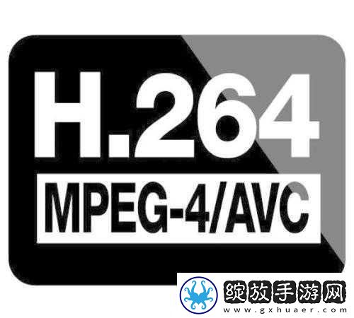 VIDEOCODECWMVIDEODECODER