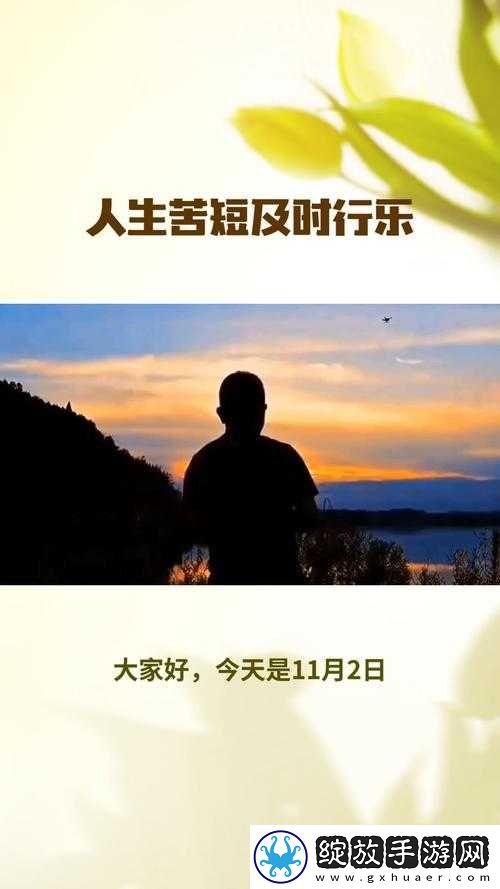 及时行乐陶暖