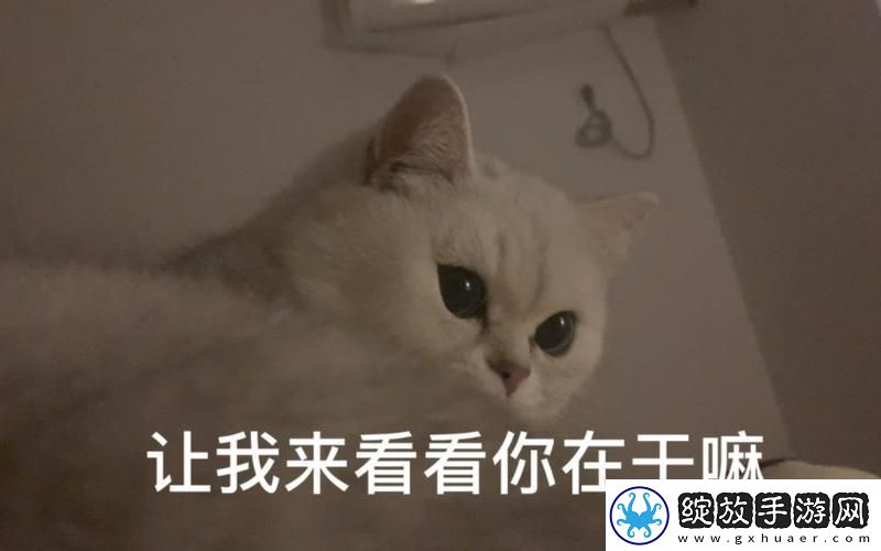 密码密林探幽