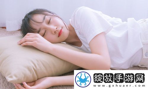 成品网站源码入口隐藏通道