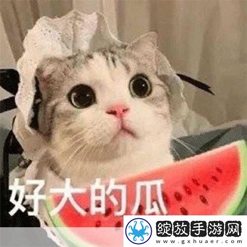 吃瓜t7wcc