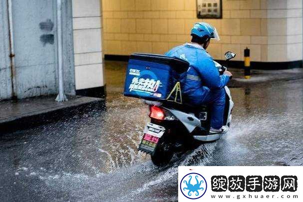 扦插