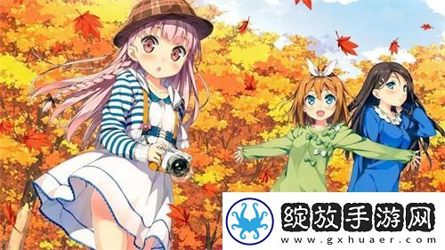 小诗的玩具日记改造计划