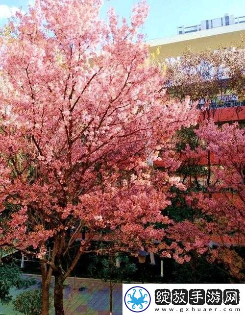 病勤楼栋