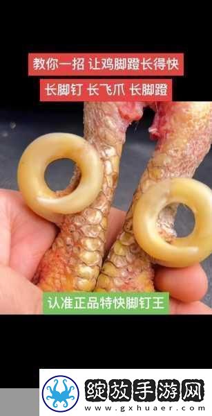 怎么能让自己的鸡变大变长