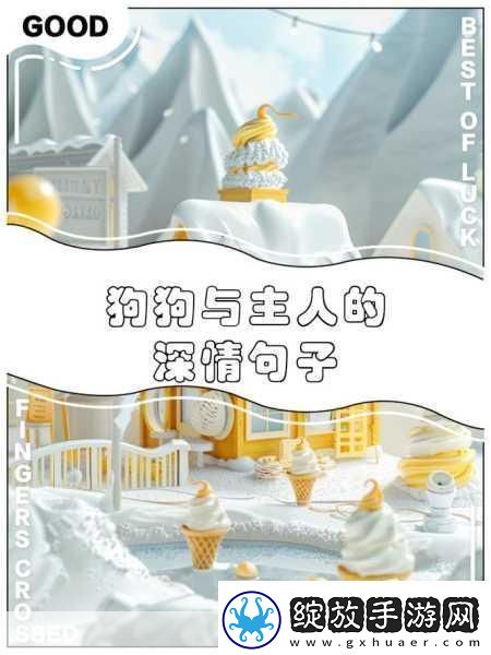 狗狗配人怎么配