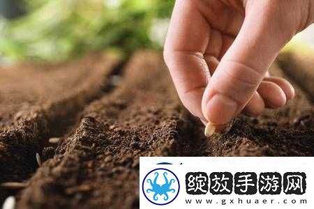 耕种妈妈肥沃的土地