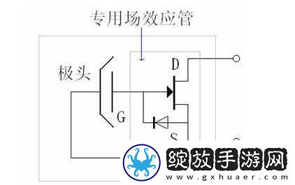 咪头怎么越吃越大怎么变小