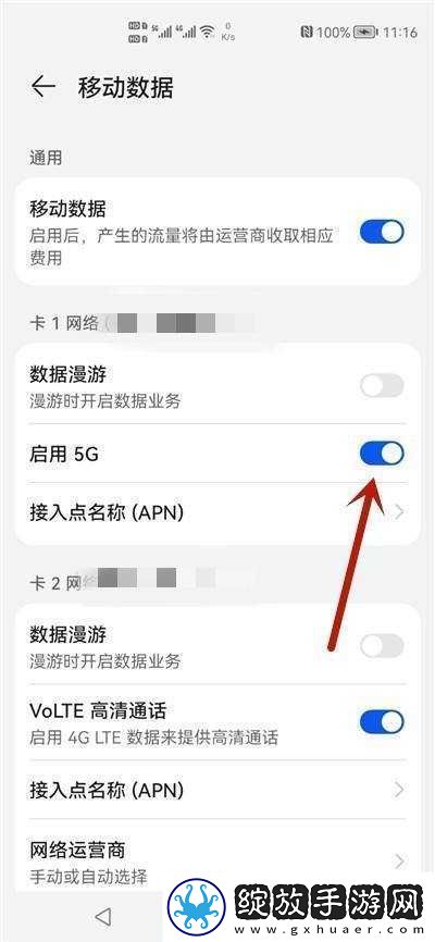 5g
