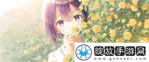 营造美感！WORDPRESS成品站免费设计为你打开新视界