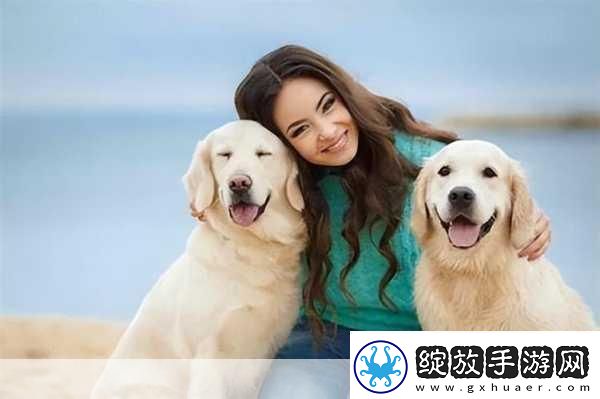 狗狗配人怎么配
