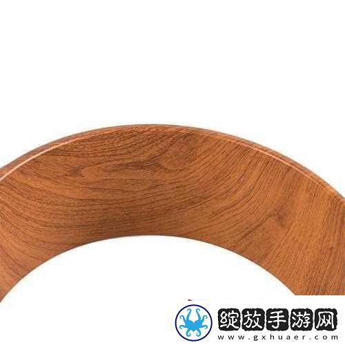 WHEELTPE孕妇轮内容不打码