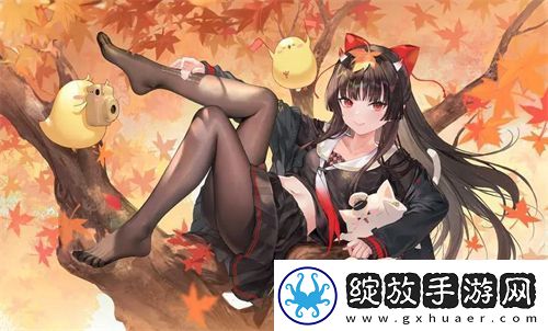 探秘奇妙之处！51无人区码一码二码三码区别