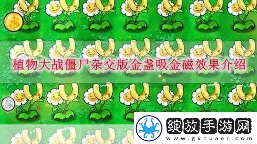 植物大战僵尸杂交版