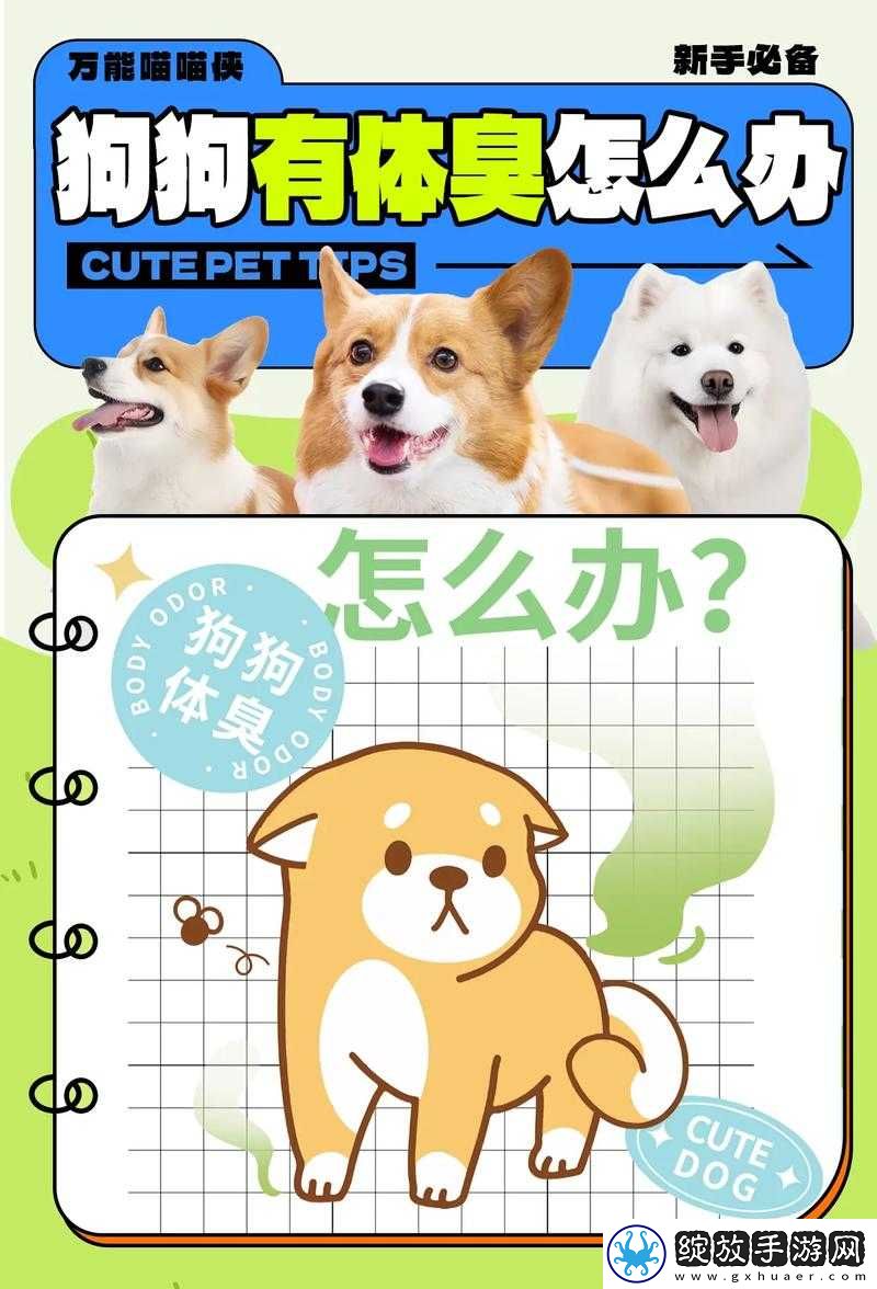 狗狗的东西又硬又烫又臭怎么办