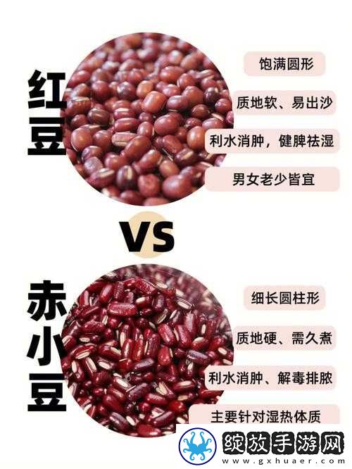 怎么揉小豆水最多的高效方法探讨