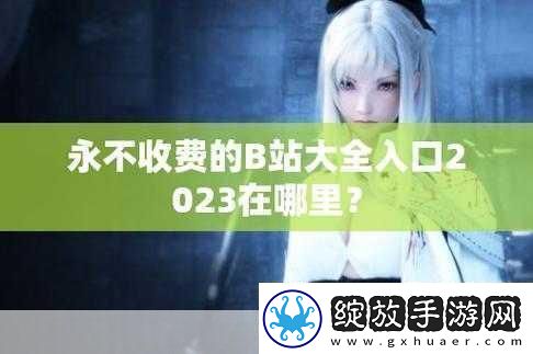 2024b站永不收费