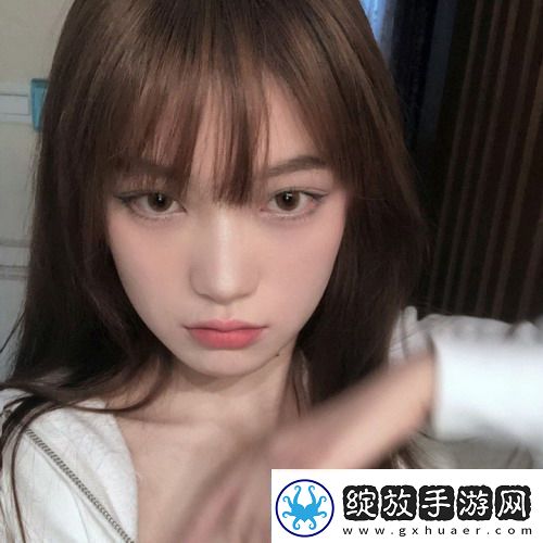 美国人与动物胶配方大全轻松上手！网友