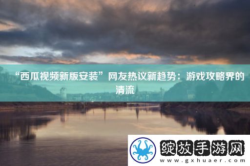 “西瓜视频新版安装”网友热议新趋势