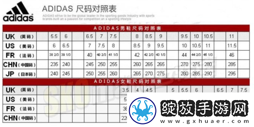 三叶草尺码对照表