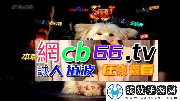 成品网源码