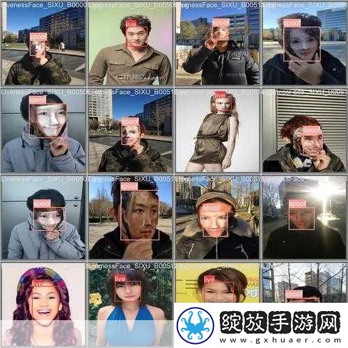 深度开发1v6TXT下载
