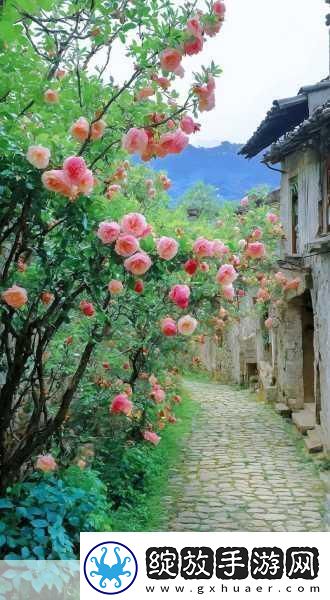 青青草在线