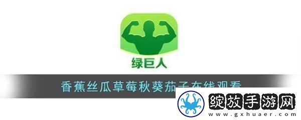 草莓茄子丝瓜芭乐绿巨人享受清晰画质