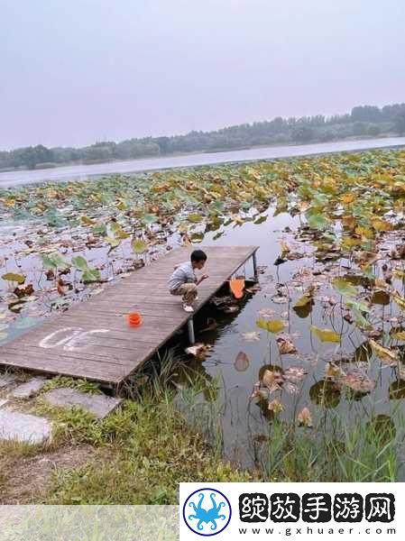 揭秘99无人区码一码二码三1080p不再是梦