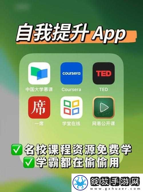 成品视频