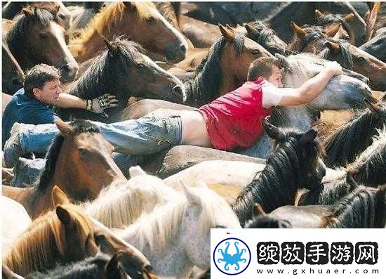 人马大战