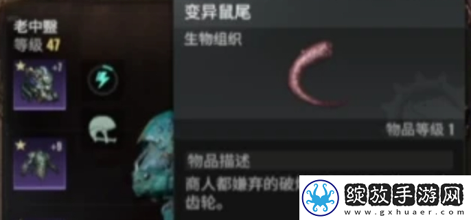 破碎之地变异鼠尾在哪里