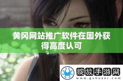 国外黄冈站推广在国际上叫什么之探讨