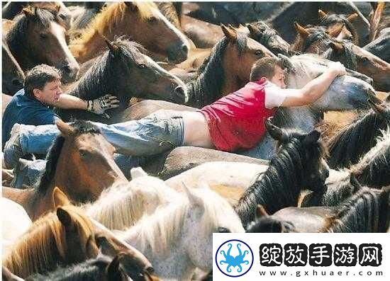 人马大战