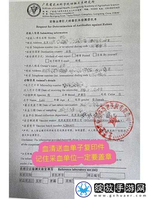 狗狗胶配方整个过程揭秘