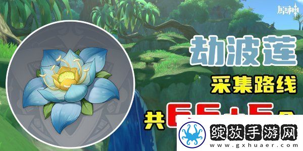 原神劫波莲采集位置分享