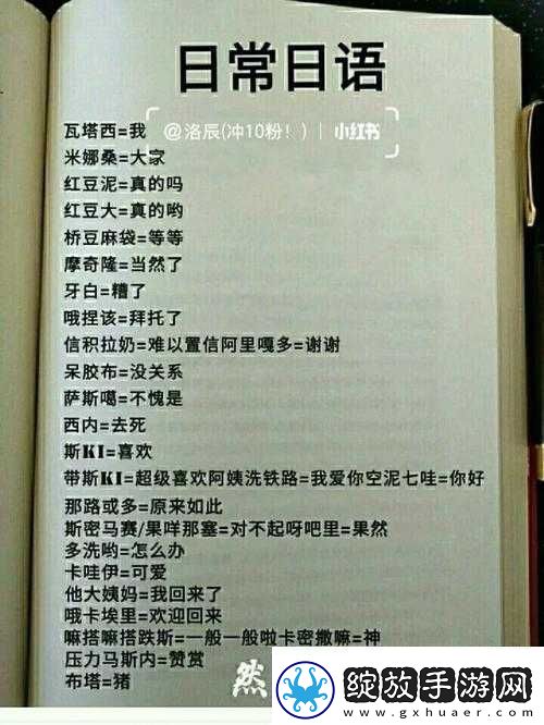 儿媳妇日文翻译