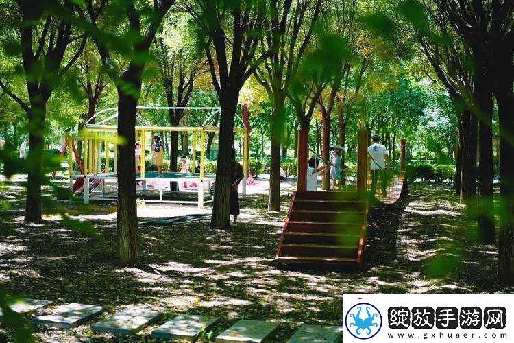 在城郊的小树林