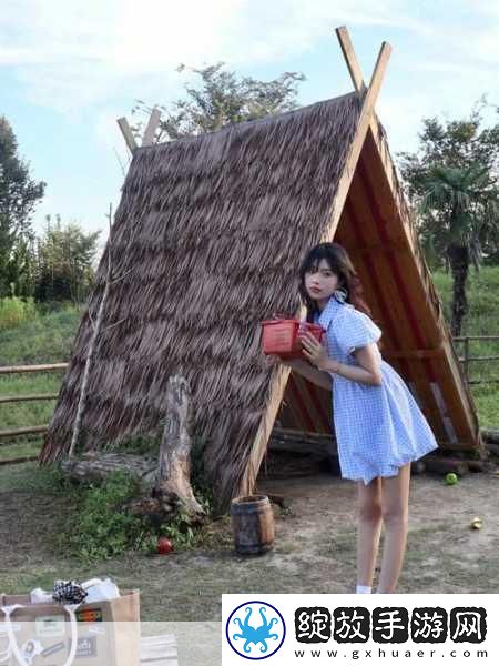 GOGOGO大但人文艺术观后感完全免费访问