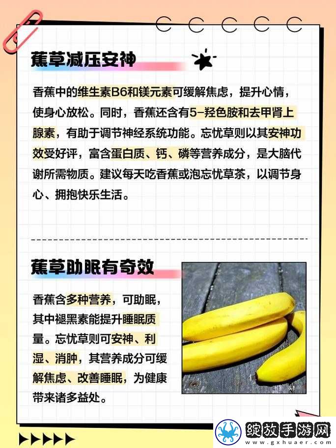香蕉和忘忧草有哪些区别