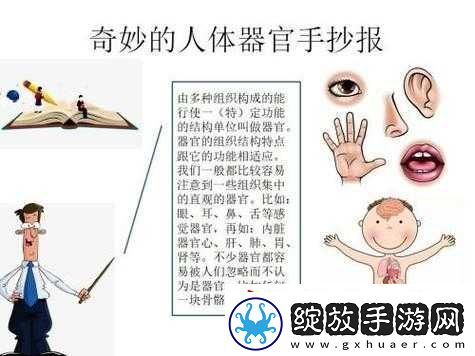 看我们结合的部位律动