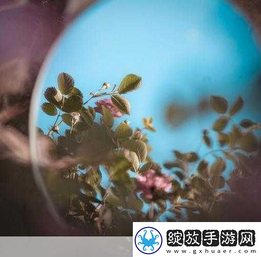 对镜子看我们的结合处1.镜中映照