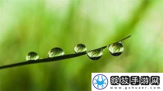 芦苇深处