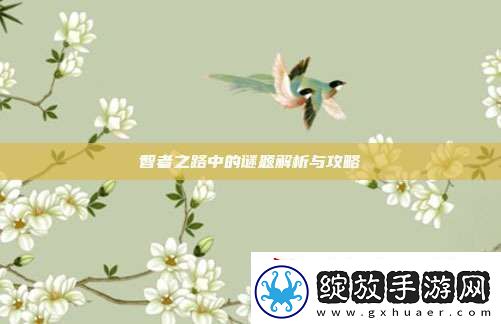 智者之路中的谜题解析与攻略