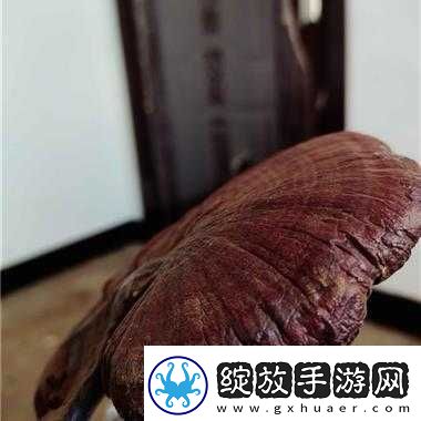 江湖秘闻