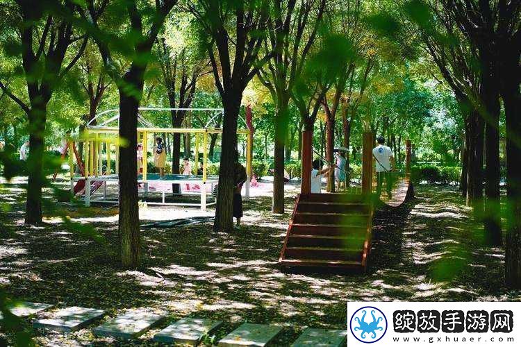 在城郊的小树林